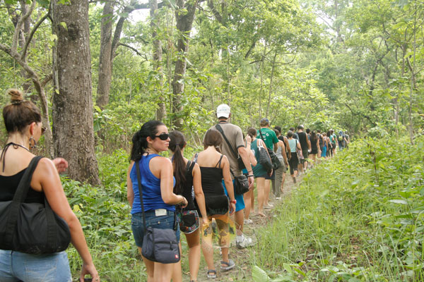 Pench Kohka Jungle walk