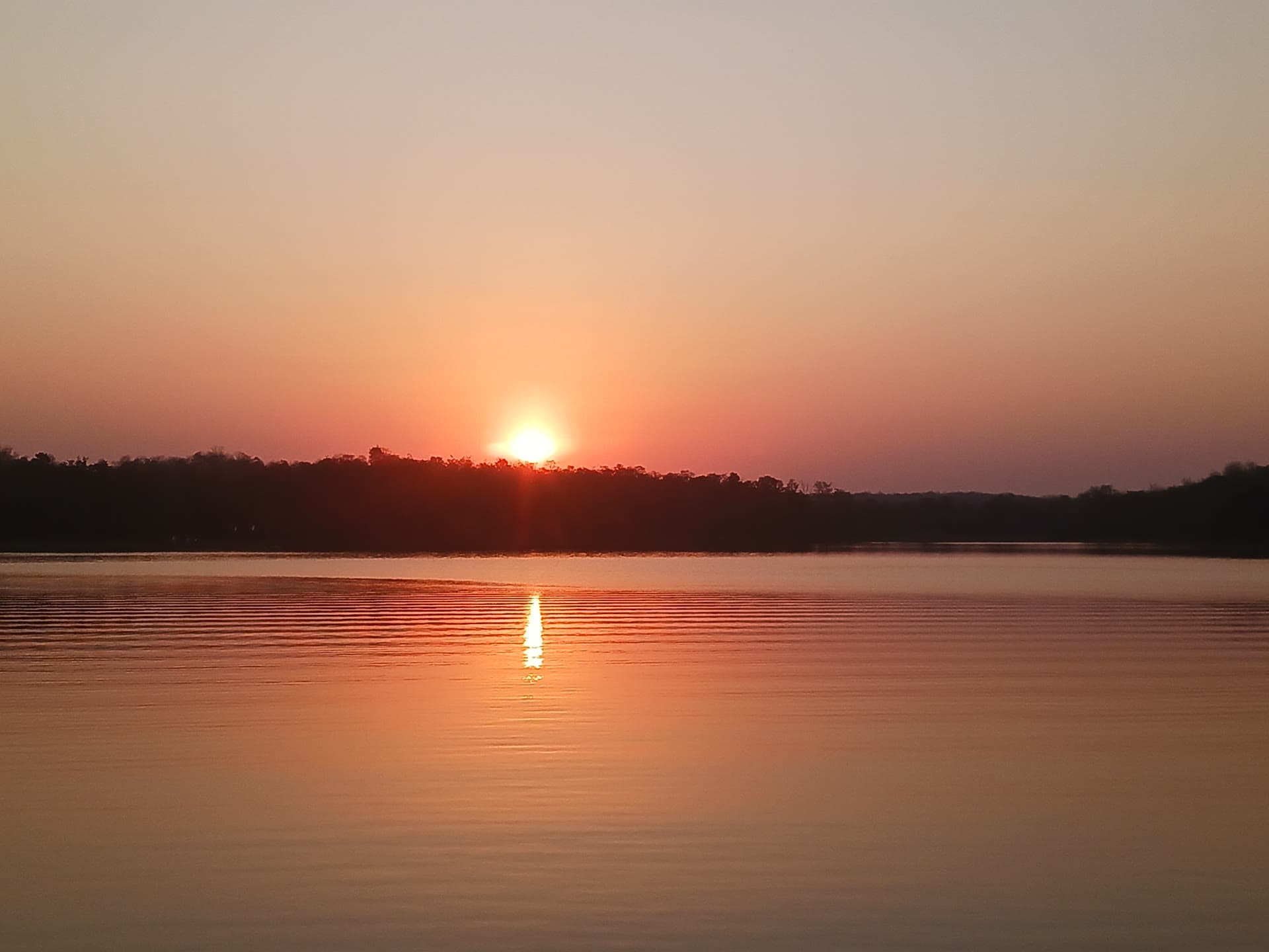 Pench Tiger Reserve Wildlife